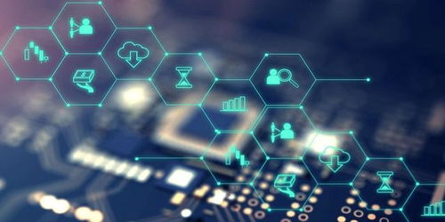 新致軟件 毛利率與研發(fā)費(fèi)率不及同行，高負(fù)債與財務(wù)費(fèi)用侵蝕盈利，軟件研發(fā)與推廣面臨挑戰(zhàn)